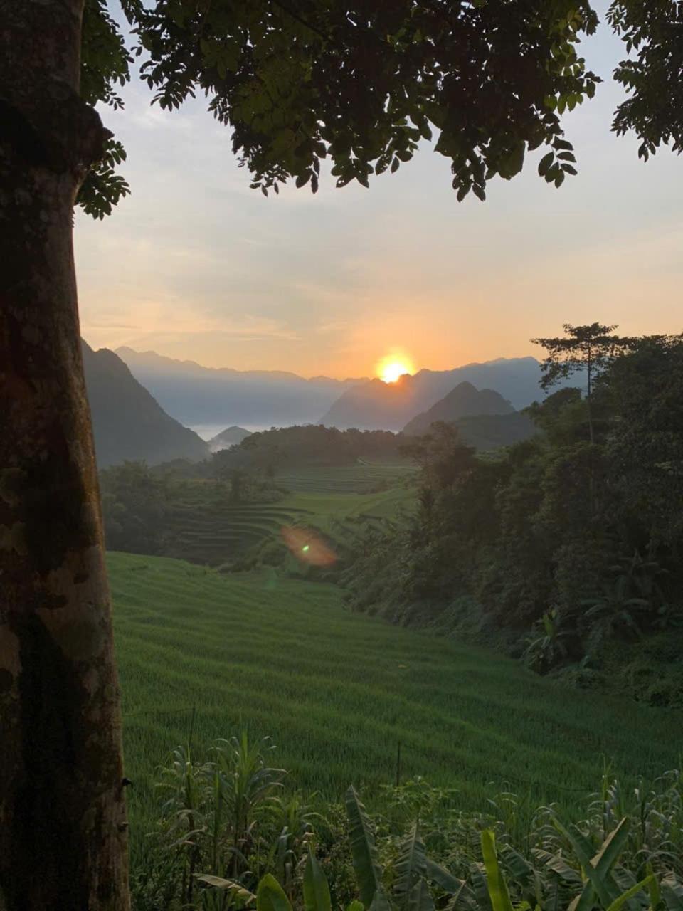 Puluong Aroma Bed and Breakfast Huong Ba Thuoc Exteriör bild
