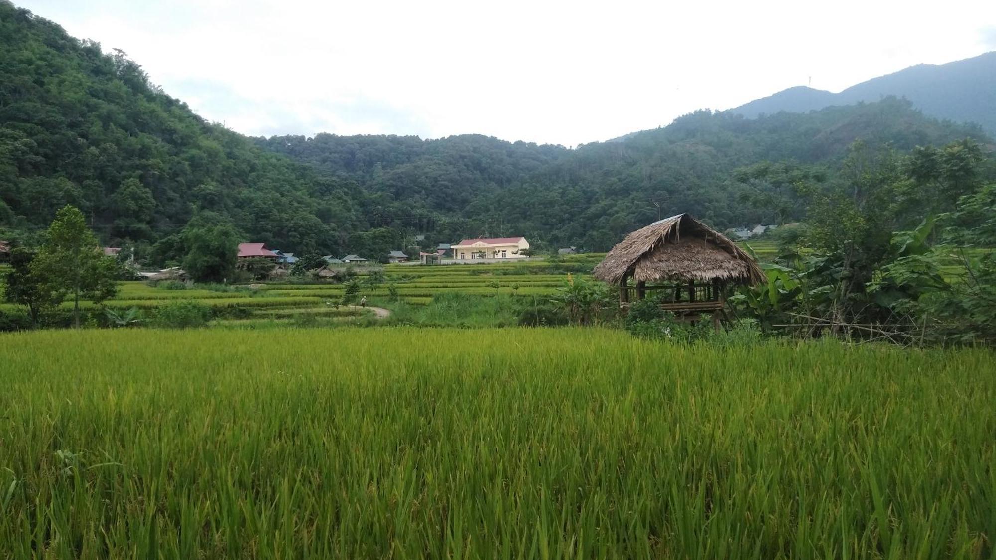 Puluong Aroma Bed and Breakfast Huong Ba Thuoc Exteriör bild